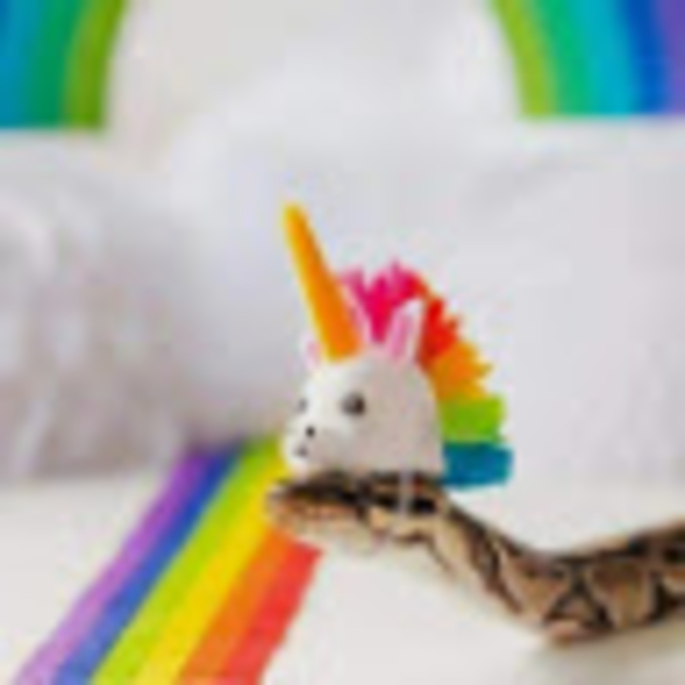 Meet your Posher, Laura